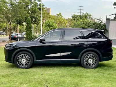 Fulwin Fengyun T9