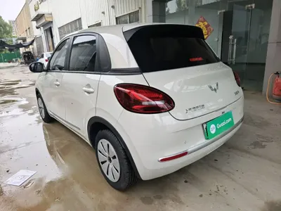 Wuling Bingo