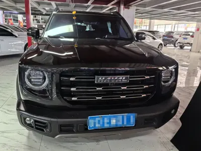 Haval Big Dog