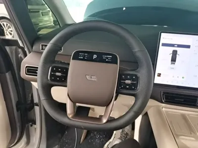 Li Auto Li MEGA