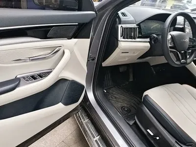 BYD PLUS New Energy