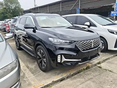 WEY Wey VV6