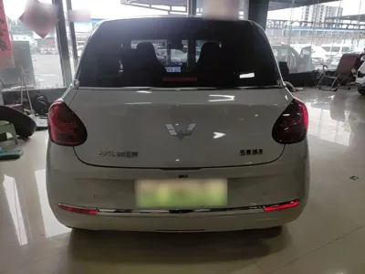 Wuling Bingo