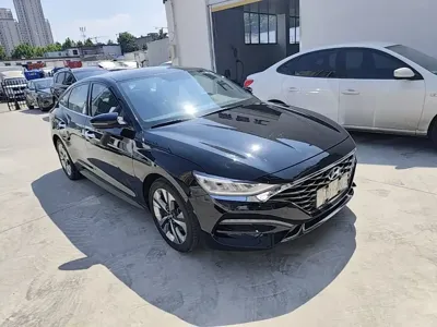 Hyundai Fista