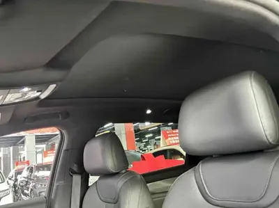 BYD L DM-i