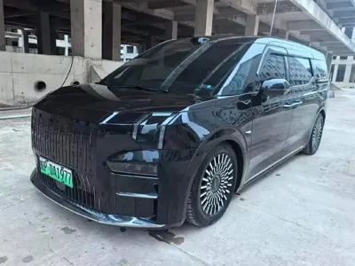 Zeekr 009