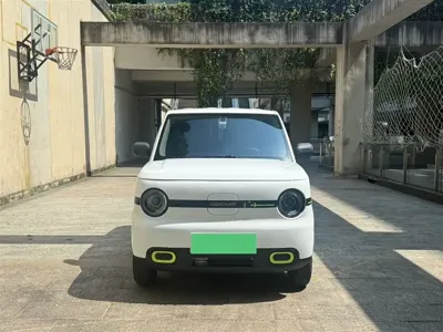 Galaxy Panda