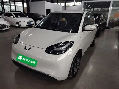 Wuling Bingo