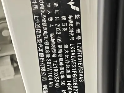 Wuling Bingo