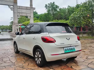 Wuling Bingo