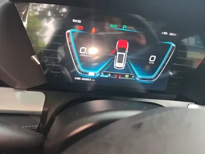 BYD Pro