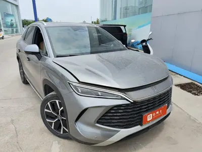BYD L DM-i