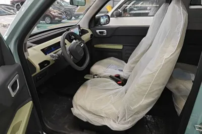 Geely Galaxy Panda