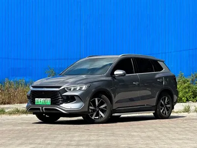 BYD Pro New Energy