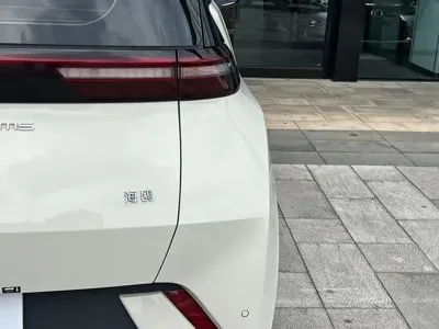 BYD Seagull