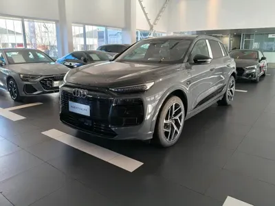 Audi 奥迪Q6L e-tron