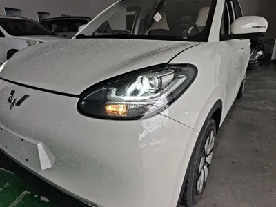 Wuling Bingo
