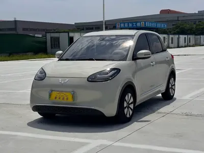 Wuling Bingo