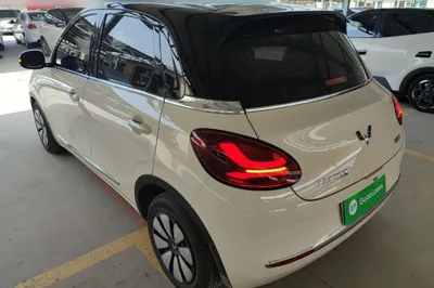 Wuling Bingo