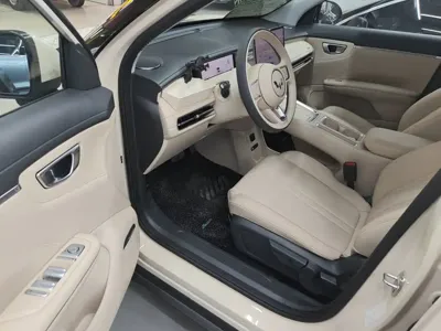 Wuling 缤果S