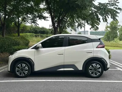 BYD Seagull