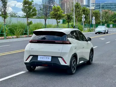 BYD Seagull