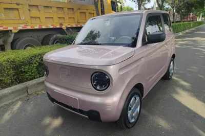 Geely Galaxy Panda