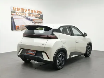 BYD Seagull