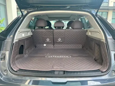 Leapmotor Leapmotor C11