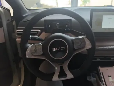 BYD Seagull