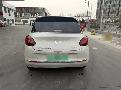 Wuling Bingo