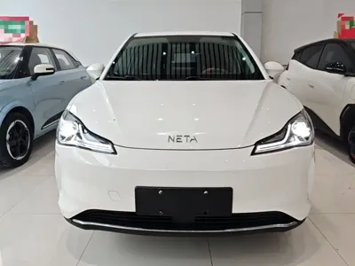 NETA Neta V