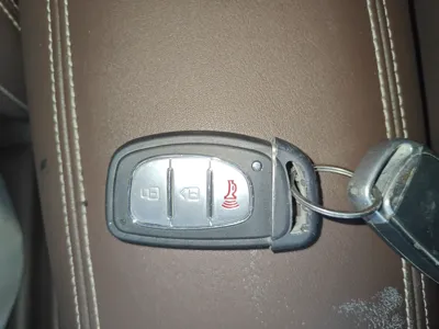 Bisu T5