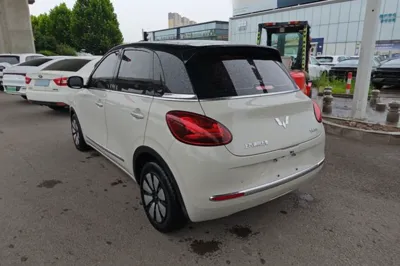 Wuling Bingo