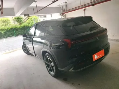 NETA Neta L