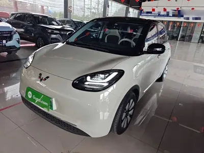 Wuling Bingo