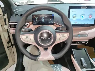 BYD Seagull