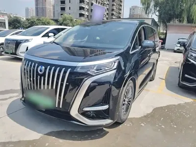 Denza Denza D9