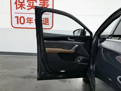 BYD Tang New Energy