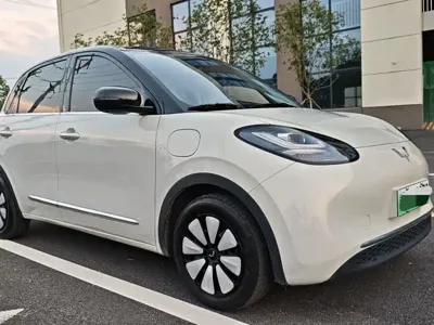 Wuling Bingo