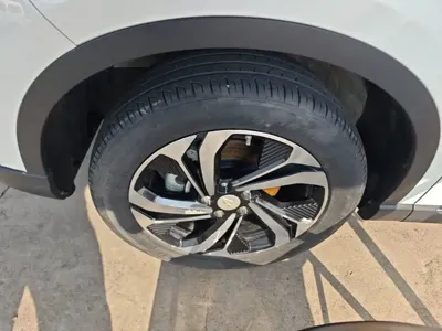 Ruixiang Ruixiang X5