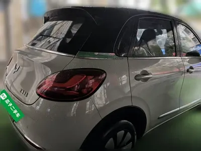Wuling Bingo