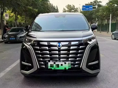 Denza Denza D9