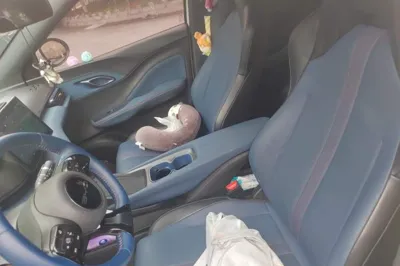 BYD Seagull