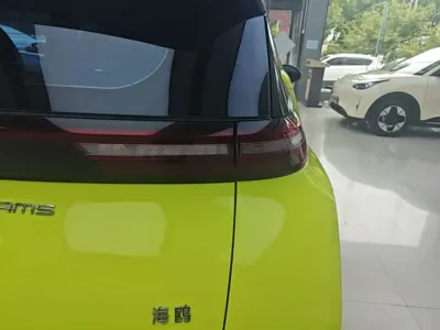 BYD Seagull