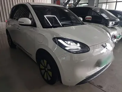 Wuling Bingo