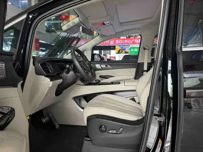 Denza Denza D9