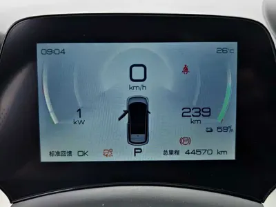 BYD Dolphin