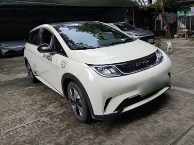 BYD Dolphin