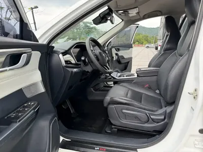 WM Motor EX5